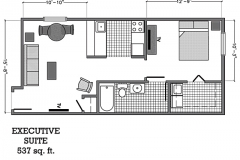 Executive-Room-Floor-Plan