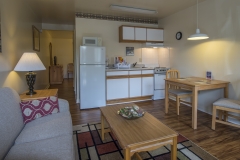 Standard Living Room/Kitchen