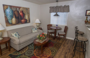 Standard Suite Living Room